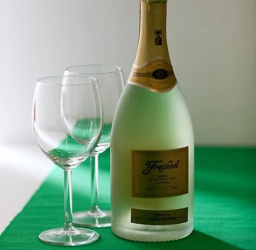 公寓 安通斯公寓酒店 *