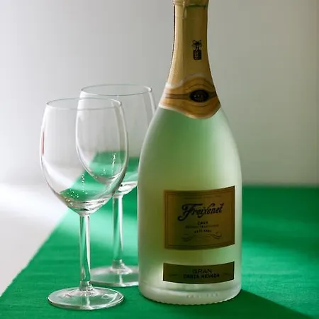 Apartmán Antons *
